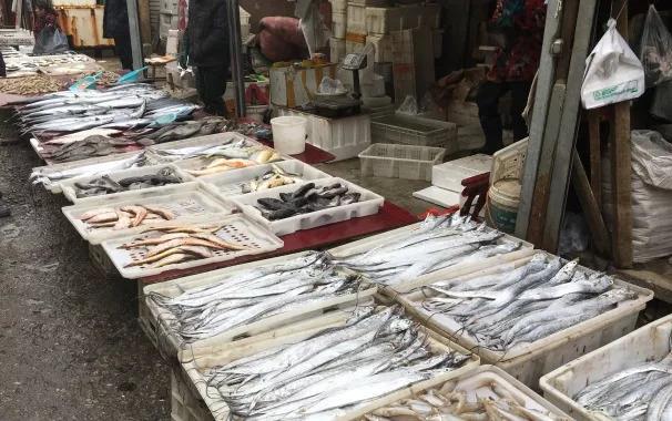 烟台人吃海鲜最好的时节到了！个个肥美，鲜，价低！