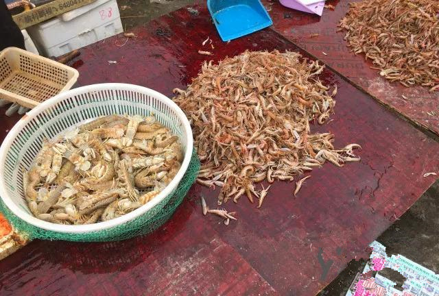 烟台人吃海鲜最好的时节到了！个个肥美，鲜，价低！