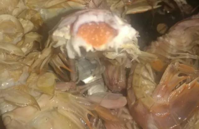 烟台人吃海鲜最好的时节到了！个个肥美，鲜，价低！